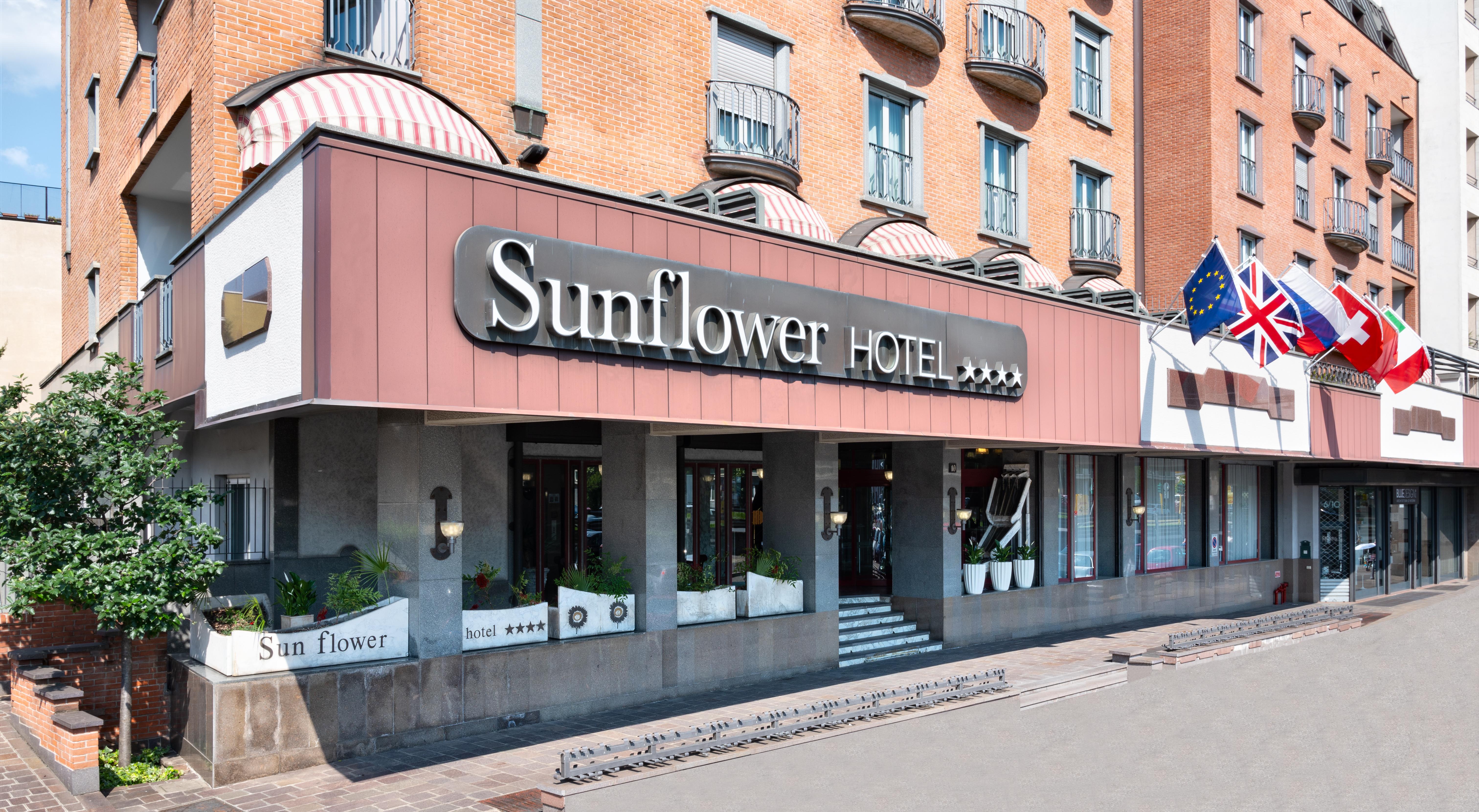 Sunflower Milano